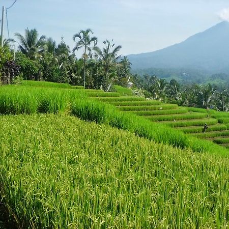 Zen Rooms Badung Nyangnyang Sari Кута Экстерьер фото