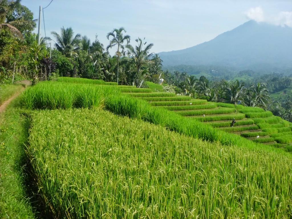 Zen Rooms Badung Nyangnyang Sari Кута Экстерьер фото